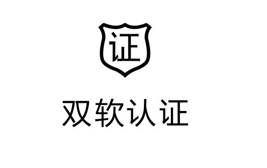 2023年双软企业认定需要哪些材料?