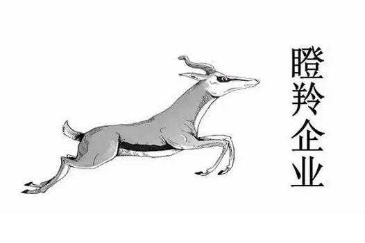 【瞪羚企业】长沙市关于加快培育独角兽、瞪羚企业的实施方案(试行)